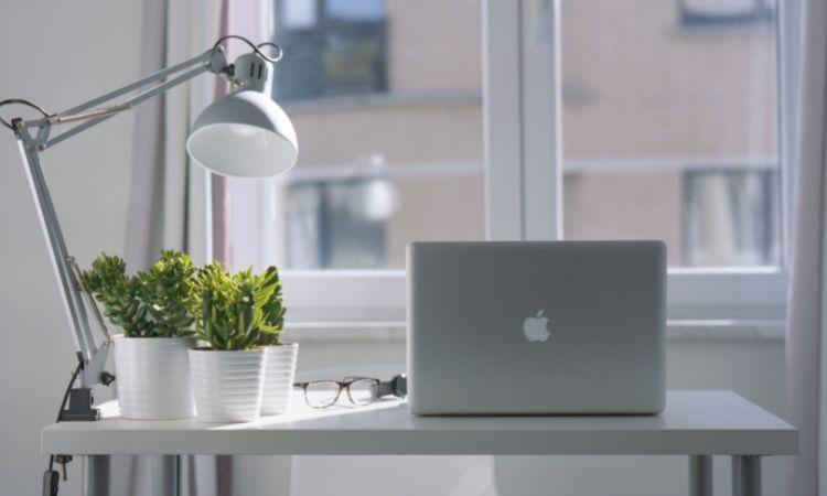 Ordinateur portable, lampe et plante sur un bureau devant une fenêtre lumineuse
