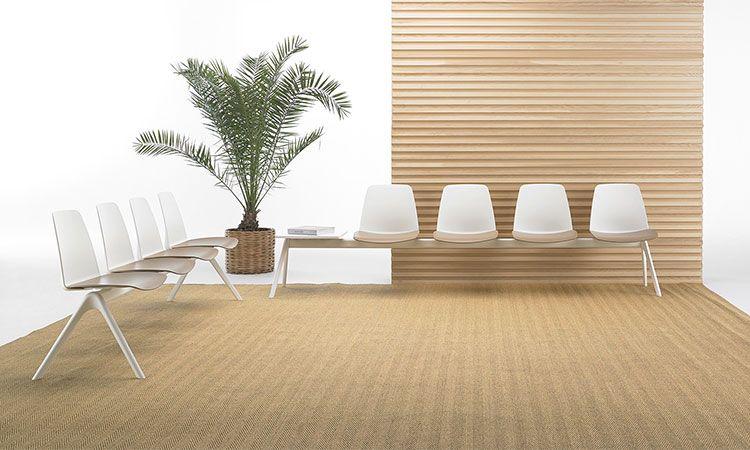 Bancs sur poutre Somma blancs avec plante dans un hall d\'accueil