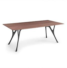 Carezza Table de conférence