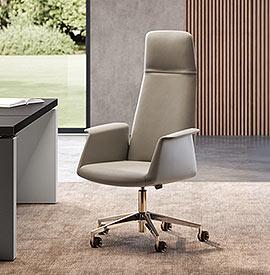 Garde Siège fauteuil direction