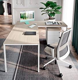 Hudson Bureau individuel
