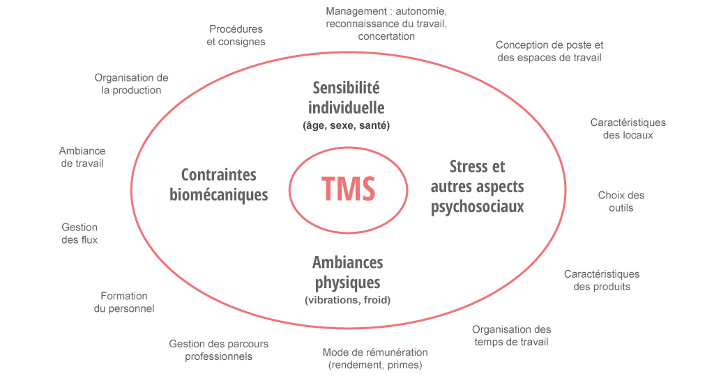 Les origines des TMS Les origines des TMS