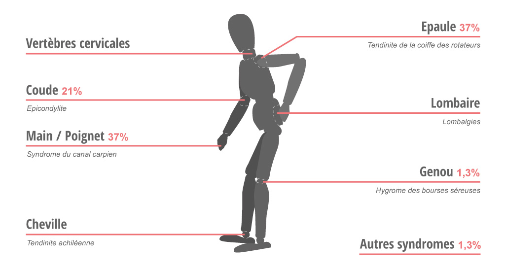 Les répartitions des TMS Les répartitions des TMS