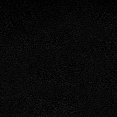 &Eacute;chantillon de coloris noir pour la chaise Arcadia